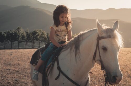 woman in white shirt riding white horse during daytime